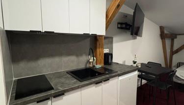 Apartamenty Stary Młyn - Foto 5, stove