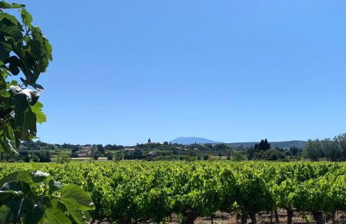 gîtes la ferme de marguerite - Foto 14
