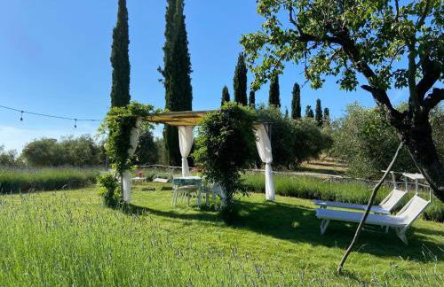 Tenuta Le Mandorlaie, Agriturismo in Scansano - Foto 20