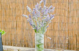 Villa Dinka - Photo 23