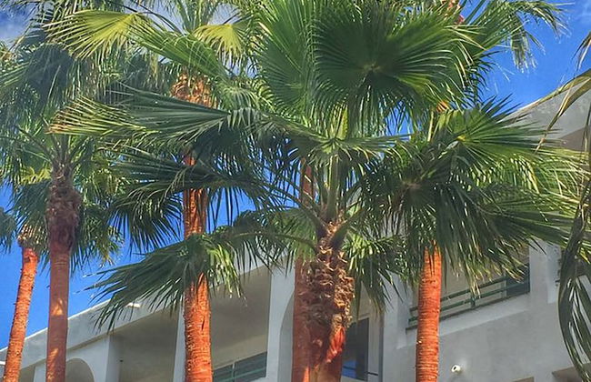 Mallorca Cecilia - Photo 62