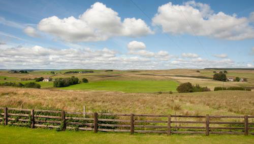 Roman Height's Holiday Cottages - Foto 3, Garden