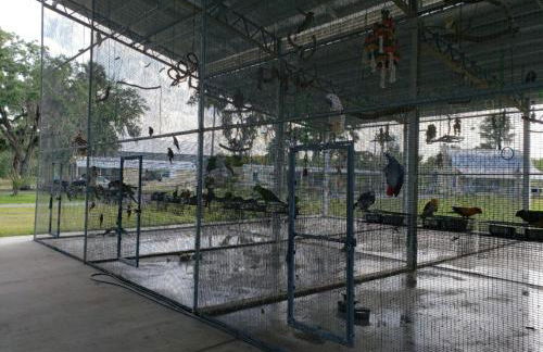 The Sunflower Studio Cottage - Foto 27