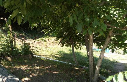 AGATHA appartments PALIOURIA - Foto 33