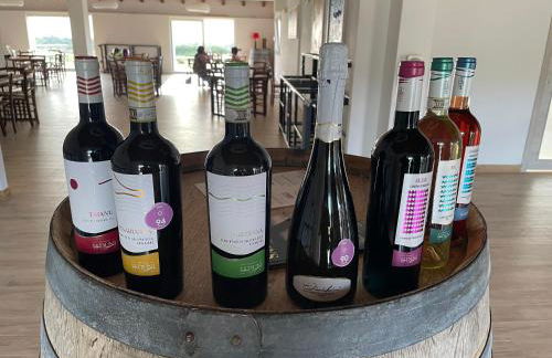 Carrabean sea in the North of Sardegna, with swimming pool - Foto 24