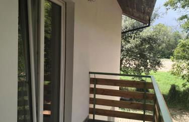 AGRITURISMO TERRAPIA - Foto 15