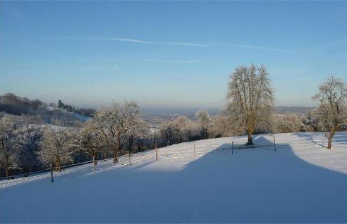 Three-Bedroom Holiday Home In Schillingsfurst - Foto 23