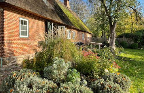 Thatched Brick House Near The River Schlei - Photo 15