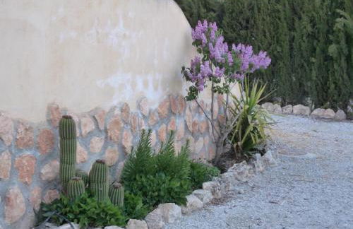 Cueva el Monteron - Foto 19