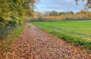 Modernes Haus mit Garten in Windberg, ruhig & zentral - Foto 24