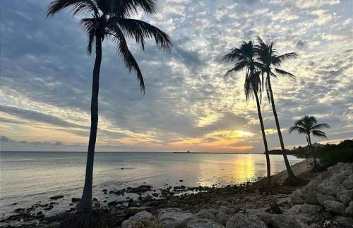 Paradise Found Cayo Hueso - Foto 35