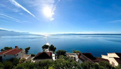 Villa Albatros - Photo 4