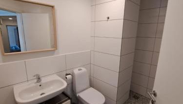 Monteurzimmer - Ferien Wohnungen Leipzig - Sandersdorf-Brehna - Foto 4