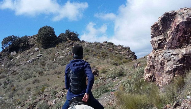 Alpajarras horse riding tour