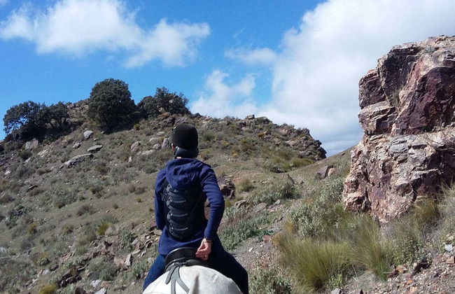 La Alpujarra Horse Riding Tour - Photo 4