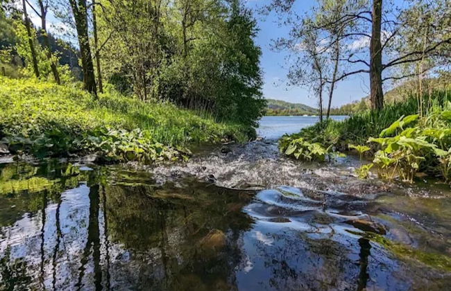 Wohnung in der Nahe des Hillebachsees - Foto 37