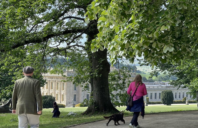 Artists' Cottages - Foto 53