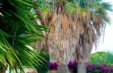 VIlla Sunlight Sardegna - Foto 33