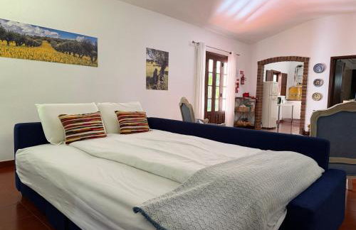Quinta do Faisco - Foto 22