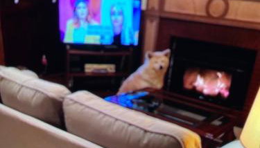 Casa de Pueblo en Navarres - Foto 4