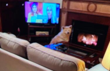 Casa de Pueblo en Navarres - Foto 4