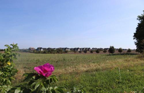 Ostseeferienhaus California - Foto 49