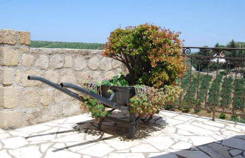 Olive Villas - Photo 56