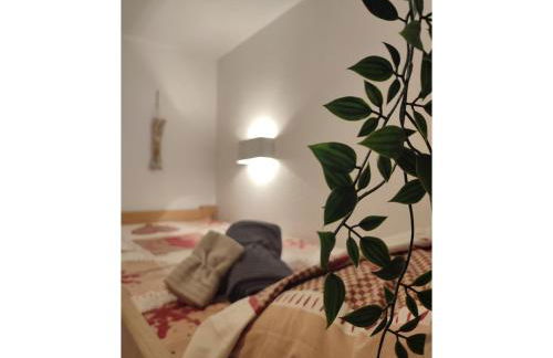 Furnished & independant flat - Brides-les-bains - Thermal spa 50m - Foto 11