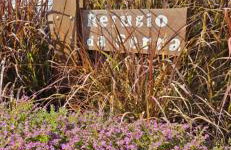 Refúgio da Serra - Foto 25