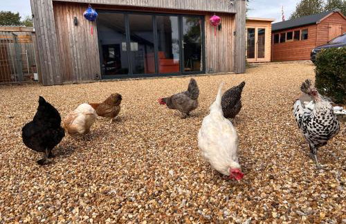 Williams Cottage A High end little home with antique style - Foto 20