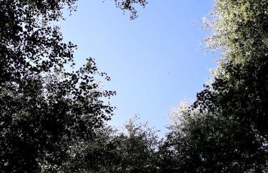 Dom na Warmii -Siedlisko Jabłonka - Foto 54