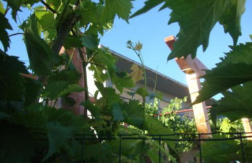 Apartmani Mislav - Photo 31