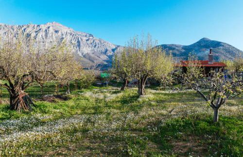 Vasilikata - Foto 96