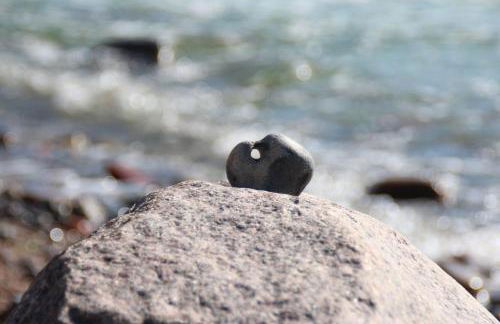 Ferienhaus-Wiesengrund - Photo 33