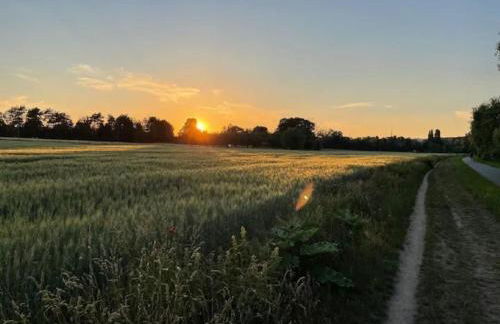 Ferienhaus Elbharmonie - Hunde willkommen, Garten vollständig umzäunt, Pool, Kamin und Spielzimmer - super für Familientreffen - Foto 37