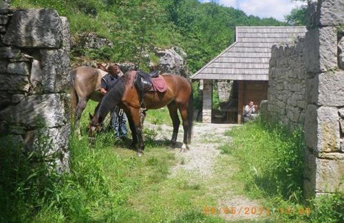 Villa Matia with pool - Foto 45