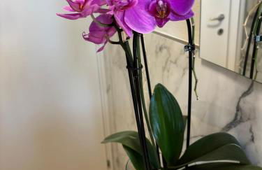 Mugello Circuit & Florence charm - Foto 26