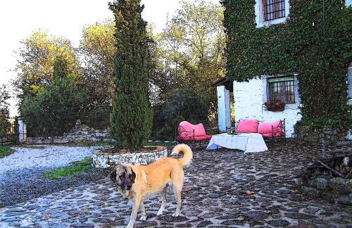 La Casa Rural Cortijo del Zoco Bajo - Foto 79