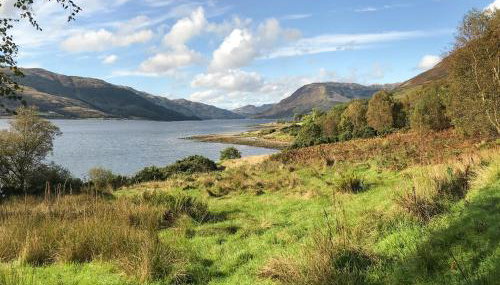 Pier Haven - Cottage - Photo 4