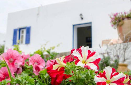 Cycladic houses in rural surrounding 4 - Foto 16