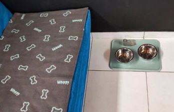 casettafagagna - Photo 27