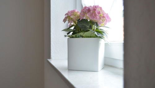 Ferienwohnung Sporn - Photo 5