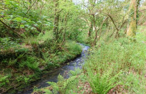 Glyn Yr Efail - Foto 34