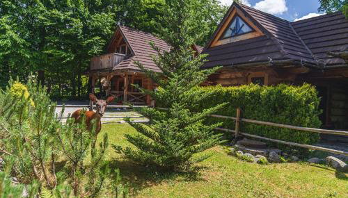 Mountain Shelter Zakopane - Foto 4, Garden