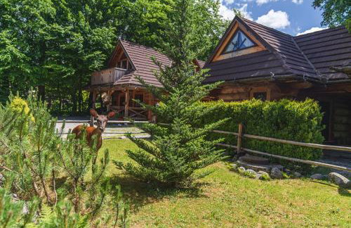 Mountain Shelter Zakopane - Foto 4