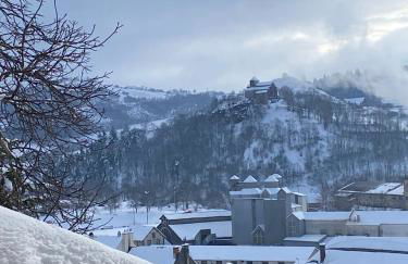 Charmant appartement au cœur des volcans d Auvergne - Photo 61