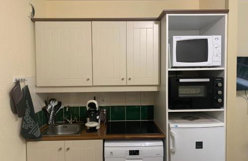 Superbe duplex les belles Rives Argentat bords Dordogne avec wifi - Foto 14