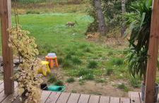 Domek "Mysze Góry" wypocznij za miastem blisko natury, Kaszuby w okolicy Trójmiasta - Foto 19