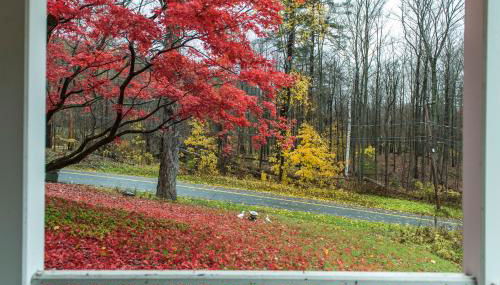 Restored 1881 Farm House - Foto 5