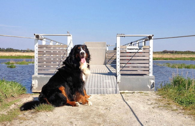 "Elis" - 90m to the fjord - Foto 8